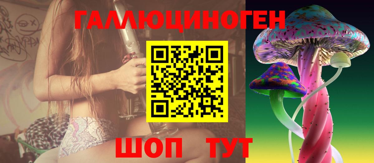 где купить   Вход с VPN  Ухта  Псилоцибиновые грибы прущие грибы  Псилоцибиновые грибы прущие грибы 