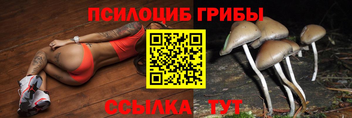 Галлюциногенные грибы GOLDEN TEACHER Ухта